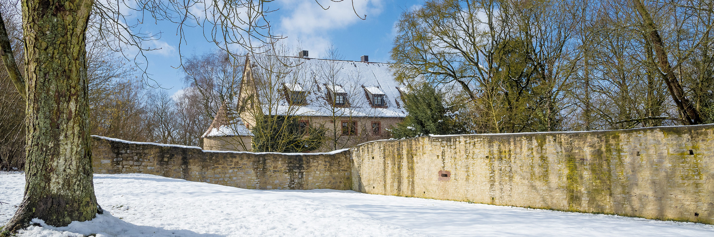 Leider haben wir keinen Alternativtext zu diesem Bild, aber wir arbeiten daran.