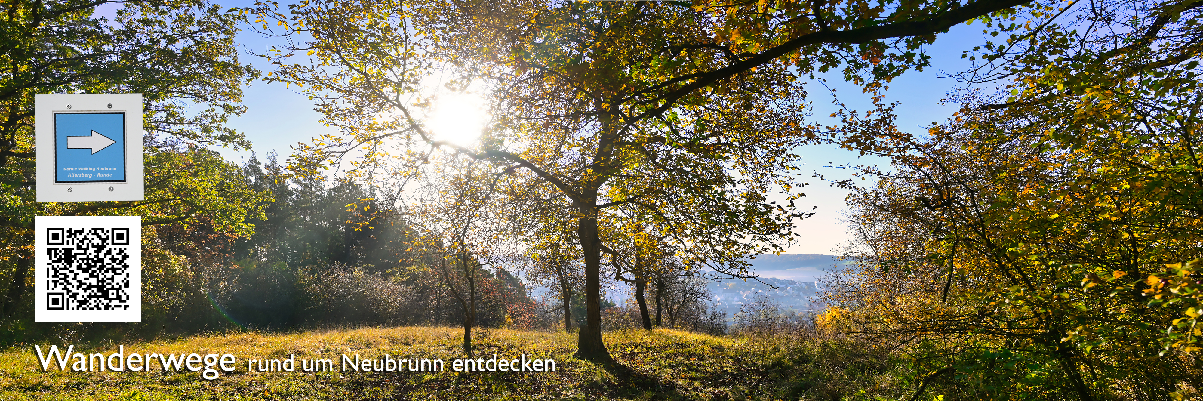 Leider haben wir keinen Alternativtext zu diesem Bild, aber wir arbeiten daran.