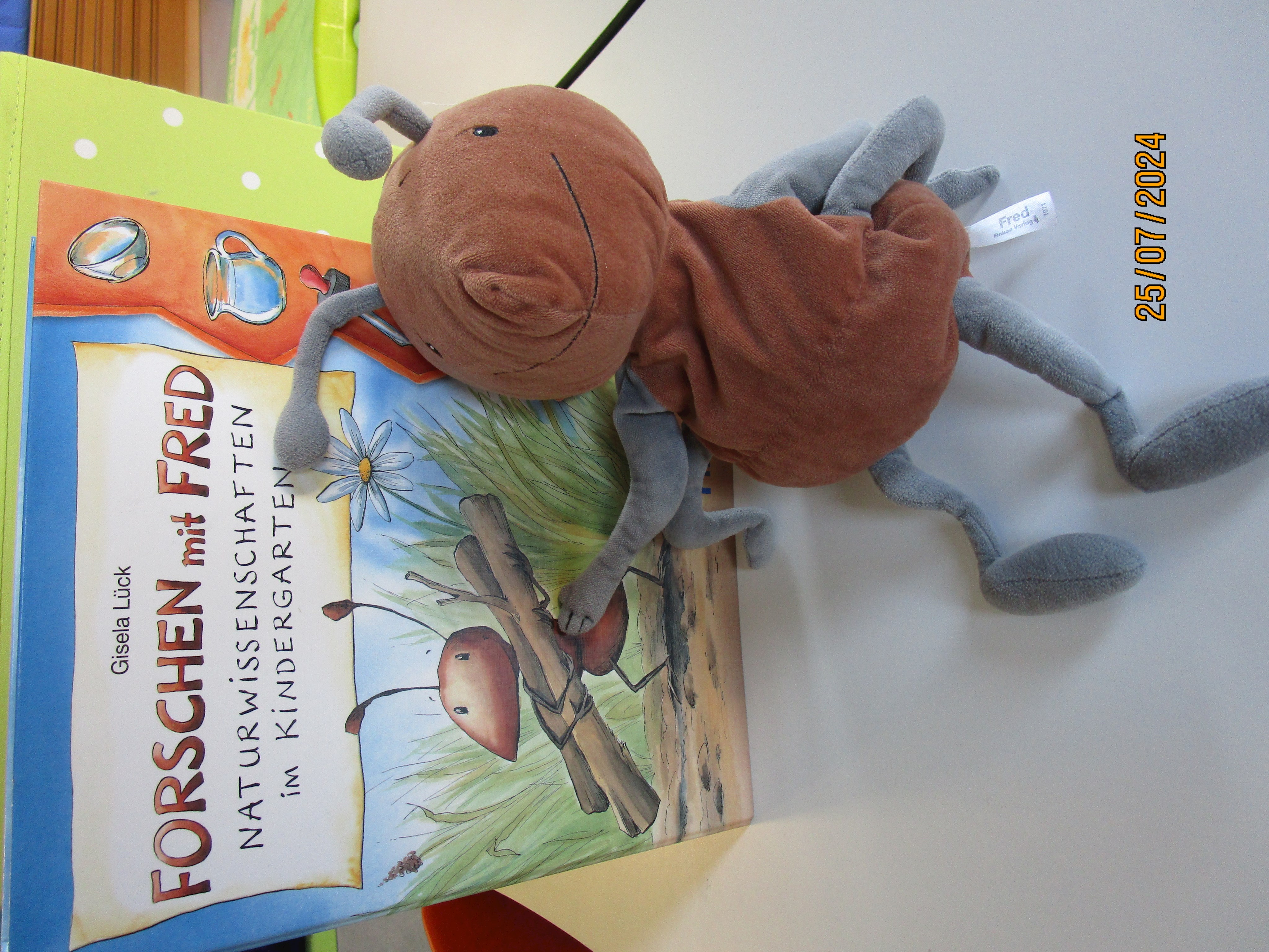 FROSCHEN mit FRED.JPG